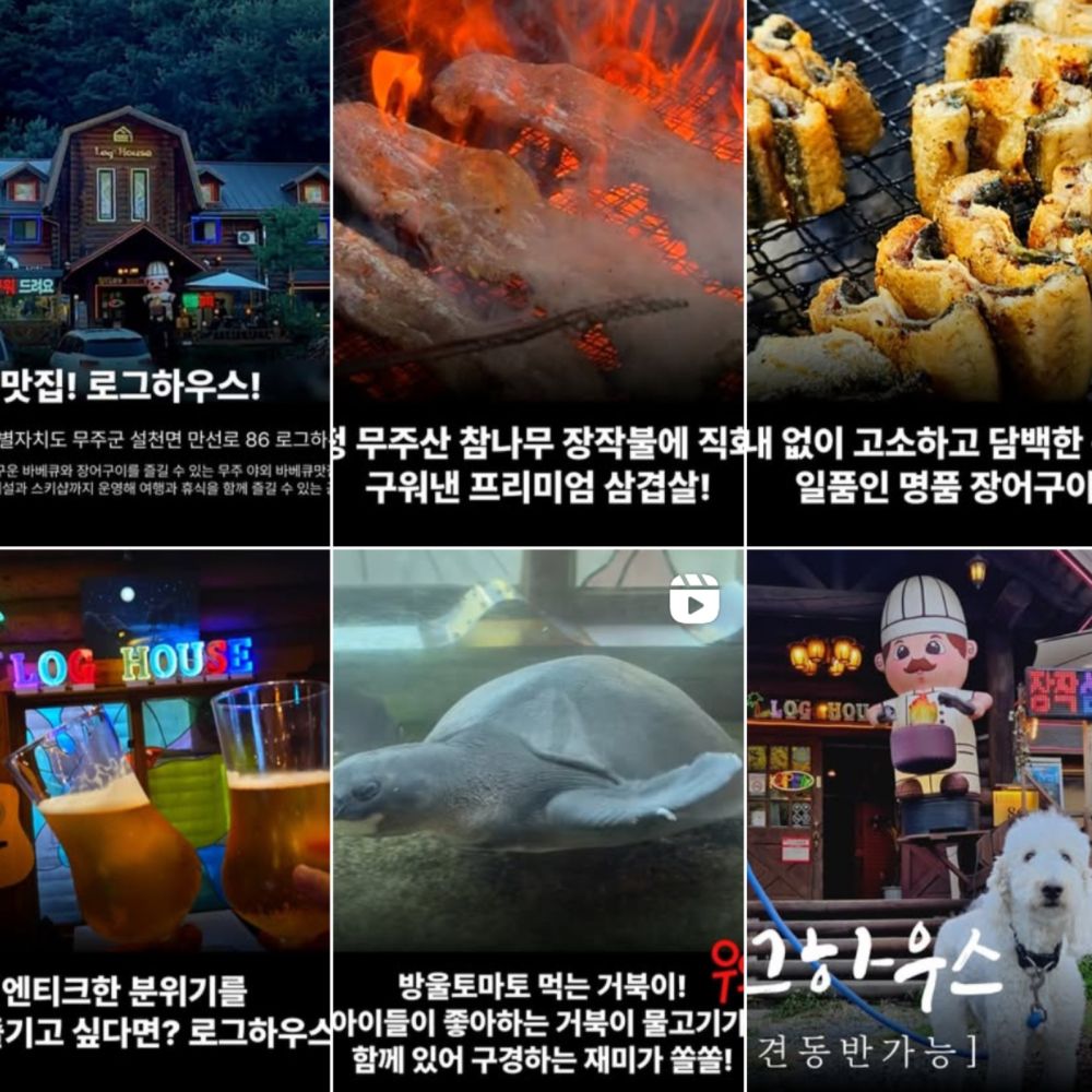 라이브카페